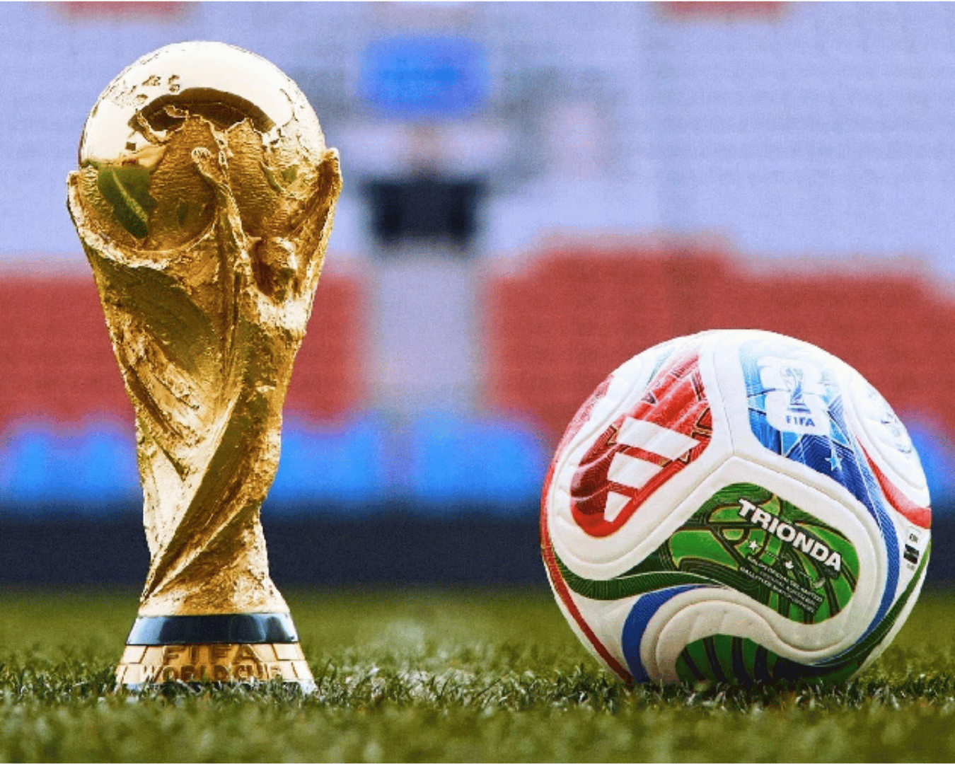 Where to Watch the World Cup this Summer