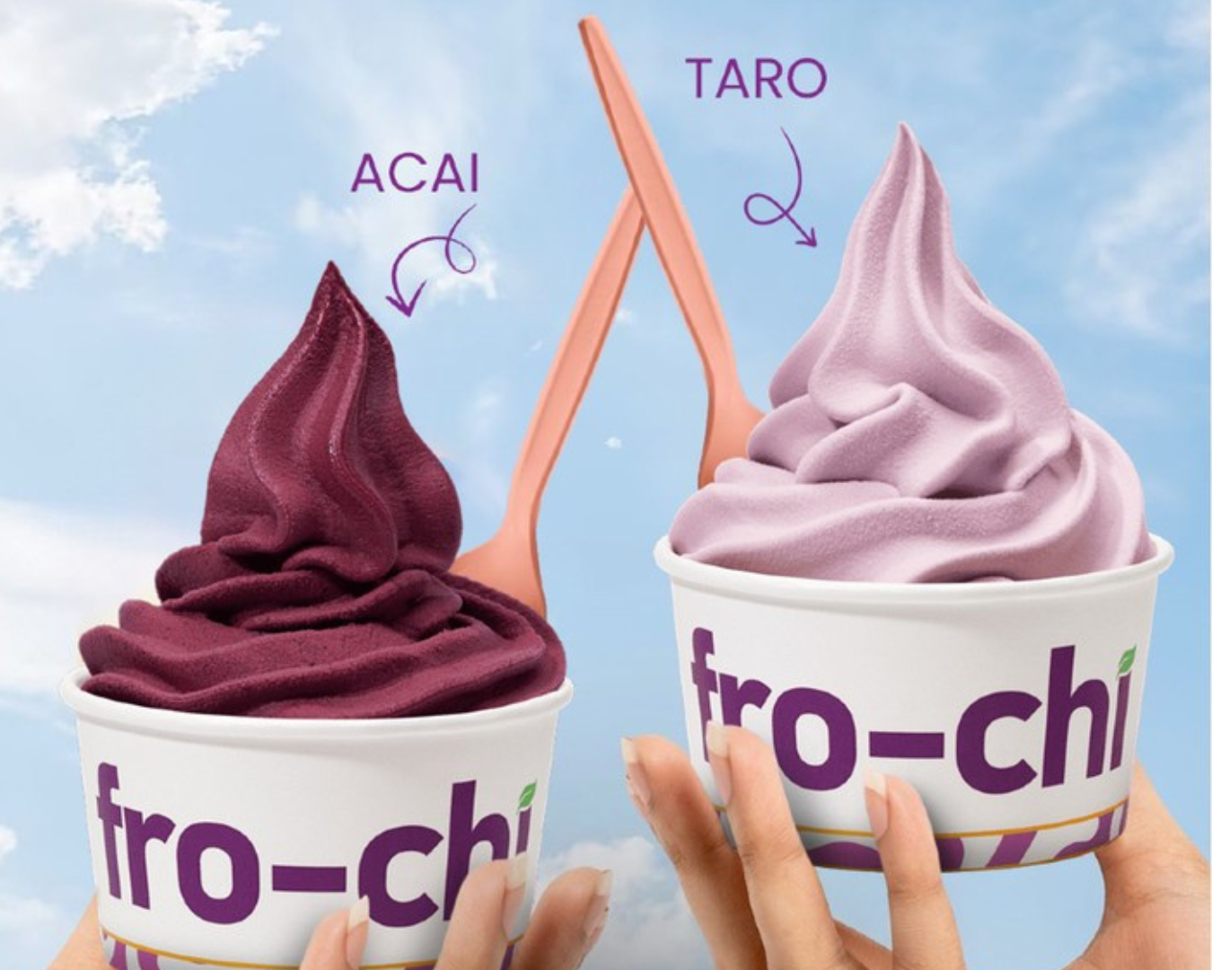 New in Jumierah Village Circle: Fro-chi